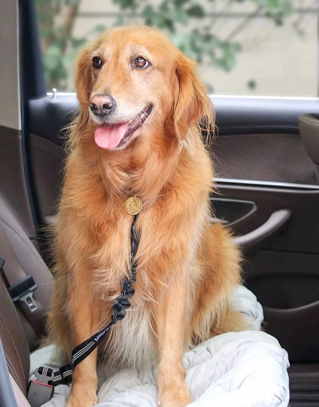 4Pcs Elastic Pet Seat Belt – Adjustable, Durable & Hassle-Free Safety Harness for Dogs & Cats
